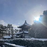 雪とお茶会