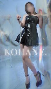 躾けられた犬便器