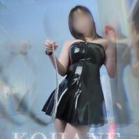 躾けられた犬便器