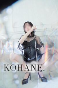 あの日のポチの我慢