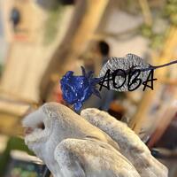 明日は15時から