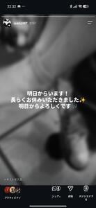 お知らせ等