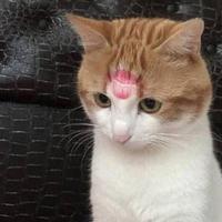 何でバレたのでしょうね