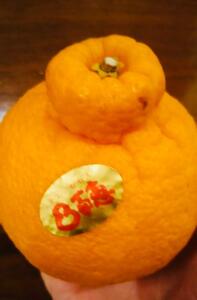 ありがとうございました