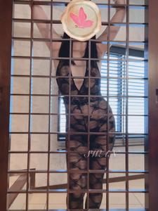 見ないなぁ