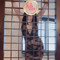 見ないなぁ