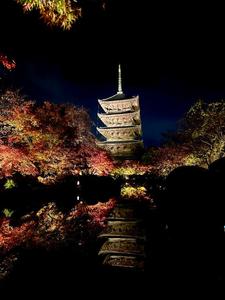 [お題]from:寝不足さん