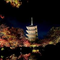 [お題]from:寝不足さん