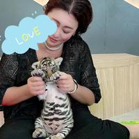 [お題]from:膝上15センチさん