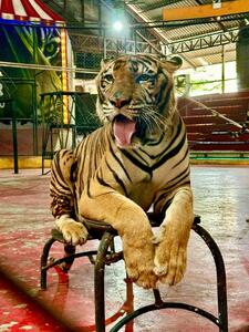 [お題]from:筑前煮さん