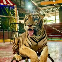 [お題]from:筑前煮さん