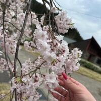 [お題]from:ごろすけさん
