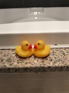 感想をぜひ