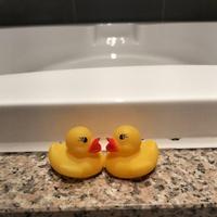 感想をぜひ