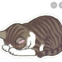 ごめんなさい