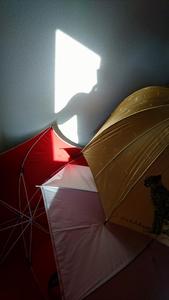 毎週火曜日〜☆