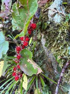 教えてください