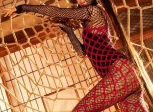 今日のご主人様は