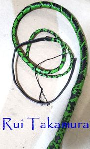 Bull whip
