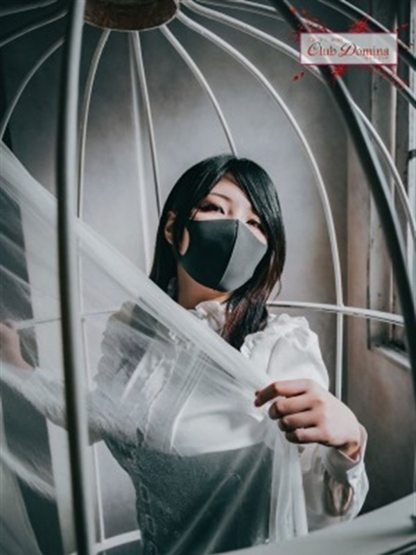 小夜女王様