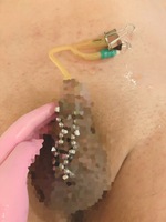 3/30.31ありがとう