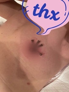 夢を叶えて
