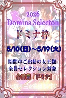 ドミナセレクション