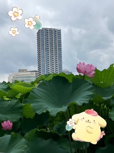７月後半と８月の上陸（出勤）情報（最新版）