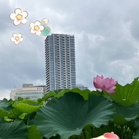７月後半と８月の上陸（出勤）情報（最新版）