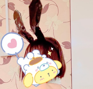 バニーの日