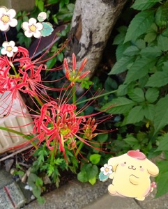 リクエストと出張につきまして