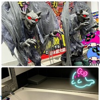 パシャ