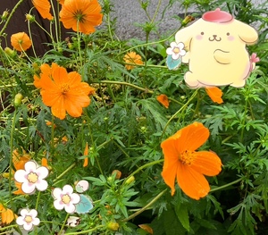 リクエストと出張につきまして