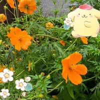 リクエストと出張につきまして