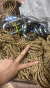 今日は