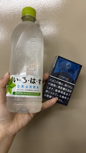 愚かなタイプの