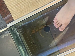 可哀想だけど…