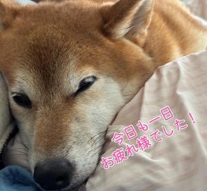 夜分遅くに失礼します！