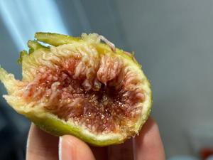熟熟の果物のやらしい食べ方？