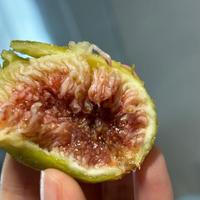 熟熟の果物のやらしい食べ方？