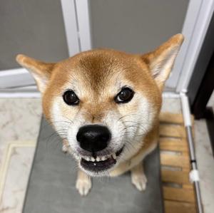 なんでそんなに怒ってるん…