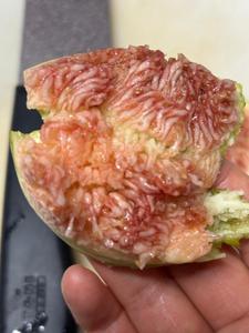 無花果の実…