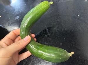 おや？この形は…