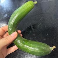 おや？この形は…