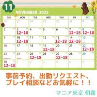 11月の出勤スケジュール