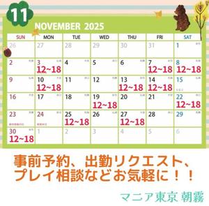 11月の出勤スケジュール