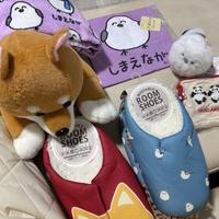 柴犬とシマエナガグッズ嬉しい