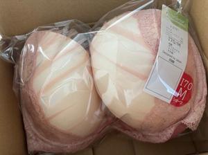 新しいブラとショーツ