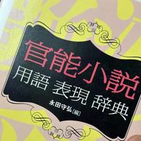 マゾを虐めさせて頂く側として言葉責めのお勉強