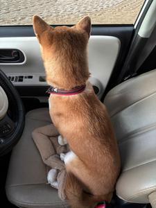 日の出〜おはようございます